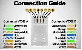 img_t568aandb.jpg