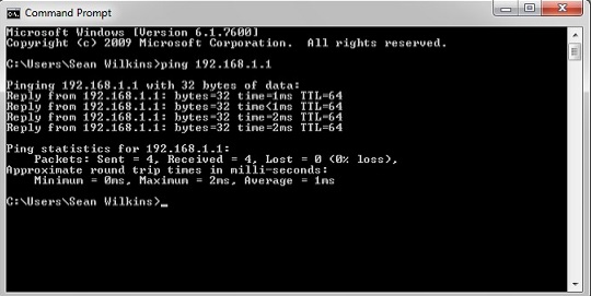 ping command output