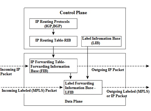 MPLS Control and Data Plane Components