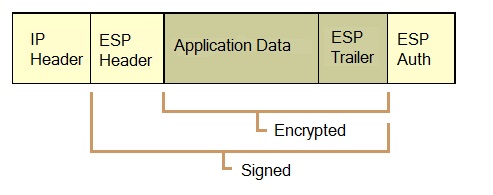  ESP packet 