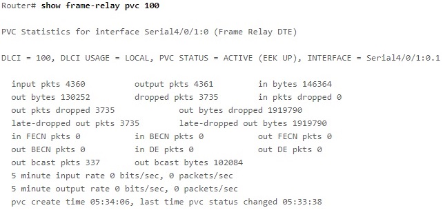 show frame-relay pvc 100 command output
