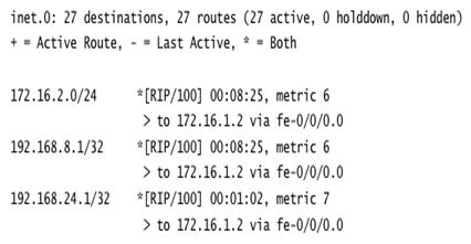 show route protocol rip command