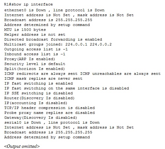 Show IP interface command output