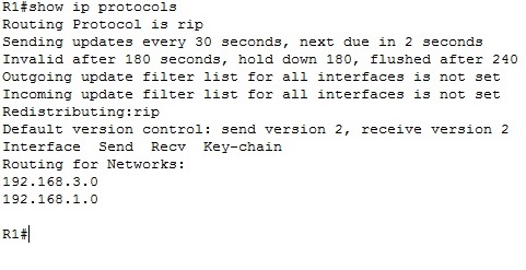 show ip protocol command output